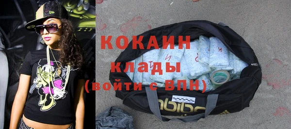 стафф Богданович