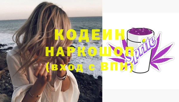 стафф Богданович