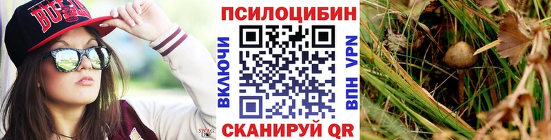 что такое   Старый Оскол  Псилоцибиновые грибы MAGIC MUSHROOMS 